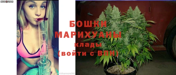 ALPHA PVP Беломорск
