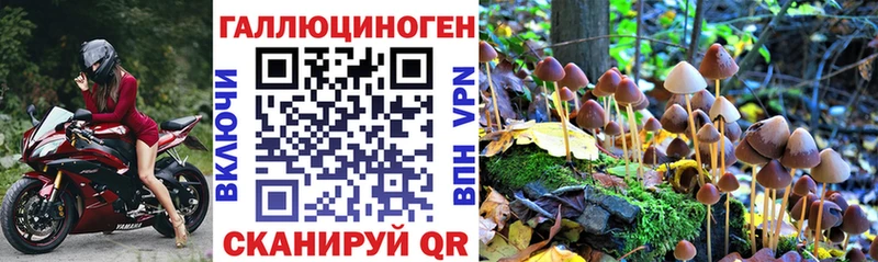 Купить где  Ухта  Псилоцибиновые грибы MAGIC MUSHROOMS 